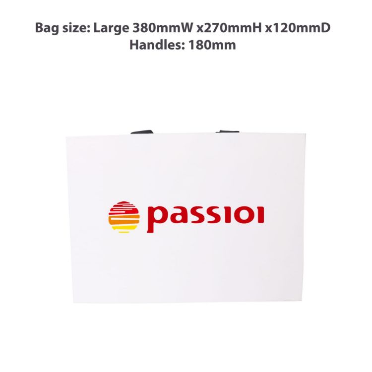 Picture of Large Paper Bag with Flat Handle(380 x 270 x 120mm)