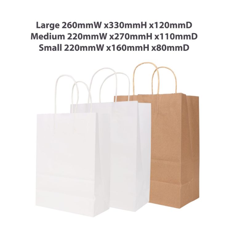 Picture of Twisted Handle Kraft Paper Bag (220x160x80mm)