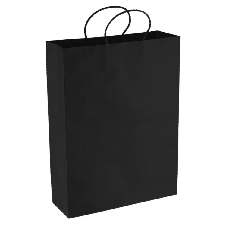 Picture of Paper Kraft Shopping Bag