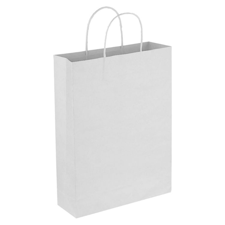 Picture of Paper Trade Show Bag