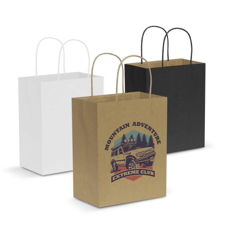 Picture of Paper Carry Bag - Medium