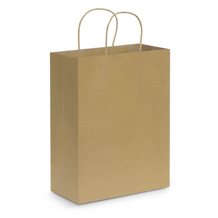 Picture of Paper Carry Bag - Large