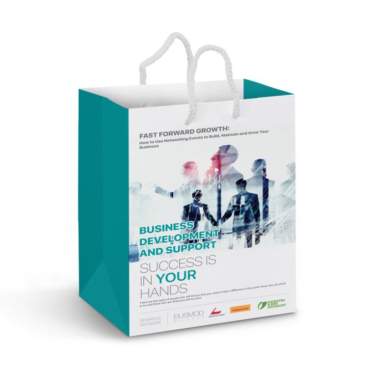 Picture of Medium Laminated Paper Carry Bag - Full Colour